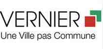 vernier